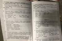 Русский язык. 5 класс. Тесты без выбора ответов. К учебник Ладыженской Т. А. и др. ФГОС