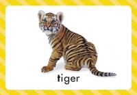 Skills for Starting School: ABC Games + flashcards