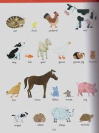 Ladybird Dictionary ELT