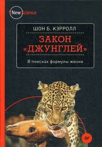 Закон "джунглей". В поисках формулы жизни