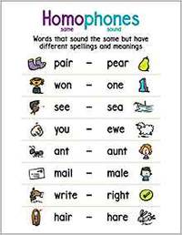Anchor Chart: Homophones