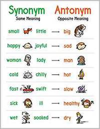 Anchor Chart: Synonym & Antonym