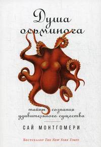 Душа осьминога. Тайны сознания удивительного существа