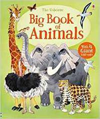 Big Book of Animals