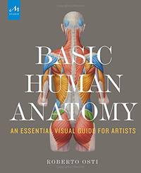 Basic Human Anatomy: An Essential Visual Guide for Artists