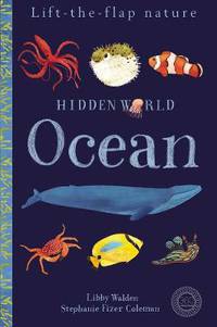 Hidden World. Ocean