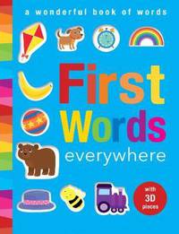First Words Everywhere: A Wonderful Book of Words