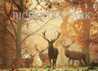 Richmond Park