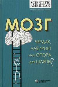 Мозг. Чердак, лабиринт или опора для шляпы?
