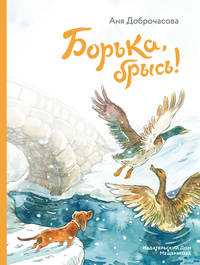 Борька, брысь!