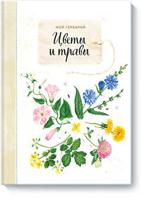 Мой гербарий. Цветы и травы