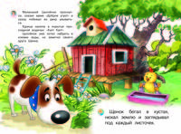 Айфолика. Как щенок искал солнышко. ФГОС ДО