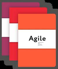 Космос. Agile-ежедневник для личного развития (яркий, комплект из 3 блокнотов)
