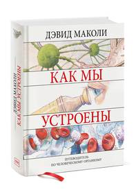 Как мы устроены