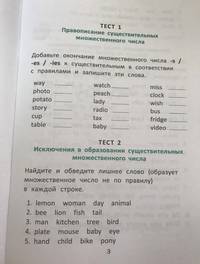 Test Your Grammar. 3 класс
