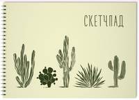 Кактусы. Скетчбук (230х180мм, офсет 160 гр., 40 страниц, евроспираль)