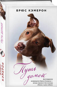 Путь домой (книга в полусупере)