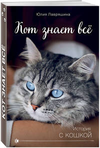 Кот знает всё
