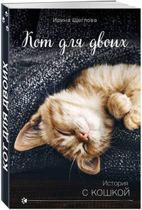 Кот для двоих