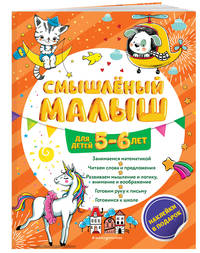 Смышлёный малыш: для детей 5-6 лет (с наклейками)