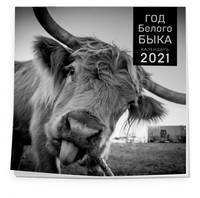 Год белого быка. Календарь настенный на 2021 год (300x300 мм)