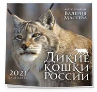 Дикие кошки России. Фотографии Валерия Малеева. Календарь настенный на 2021 год (300х300 мм)