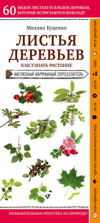Листья деревьев. Как узнать растение. Наглядный карманный справочник