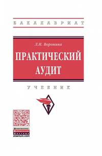 Аудит: теория и практика. Часть 2. Практический аудит