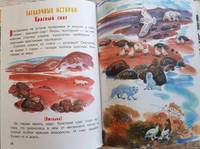 Кто живёт во льдах