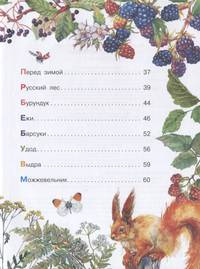 Лесные рассказы
