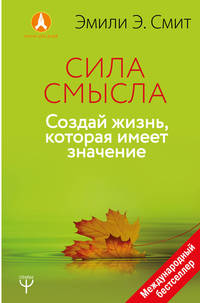 Сила Смысла. Создай свою жизнь, которая имеет значение