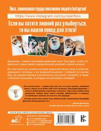 Счастливая лиса Джунипер