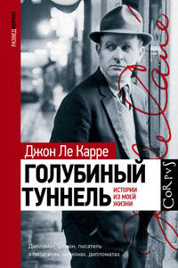 Голубиный туннель. История из моей жизни