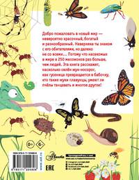 Какие бывают насекомые?