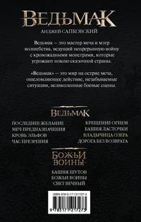 Ведьмак. Владычица Озера