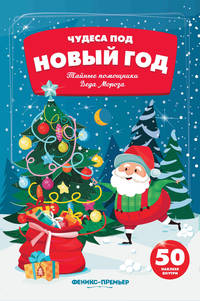 Тайные помощники Деда Мороза. Книжка с наклейками (50 наклеек)