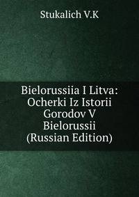 Bielorussiia I Litva: Ocherki Iz Istorii Gorodov V Bielorussii (Russian Edition)