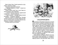 Крапивин В. Мушкетер и фея (ВЧ)