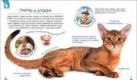 Кошки и котята (Первая энциклопедия)
