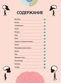Тело человека. Визуальный гид