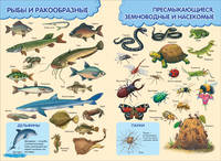 Развиватика