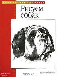 Рисуем собак