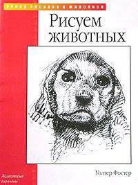 Рисуем животных