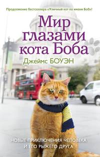 Мир глазами кота Боба. Новые приключения человека и его рыжего друга. Боуэн Дж.