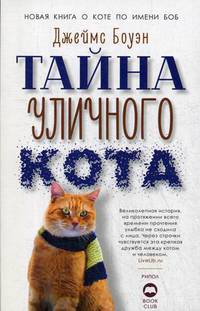 Тайна уличного кота