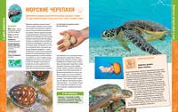 В мире животных. Энциклопедия