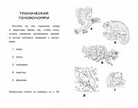 Прятки в джунглях