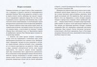 Маленькая книга счастья. Где прячется радость и как ее найти