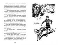 Тайна серебристого лимузина. Книга 14