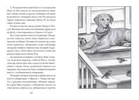 Верные. Книга 4. Дорога к дому